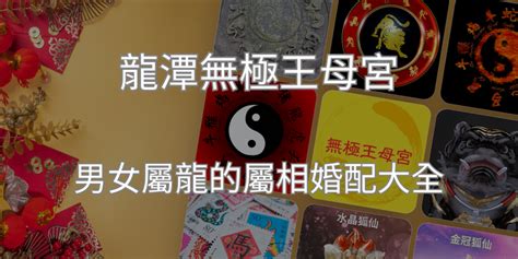 屬雞男屬龍女|屬龍的屬相婚配表攻略，屬龍婚配哪個屬相最好